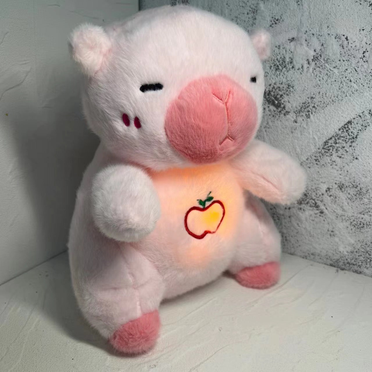 Sleeping Companion🥰