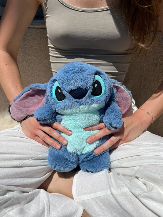 Plush with hot water bag