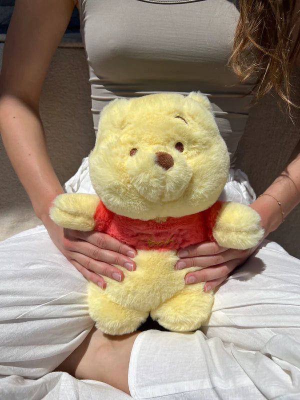 Plush with hot water bag