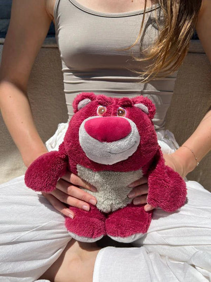 Plush with hot water bag