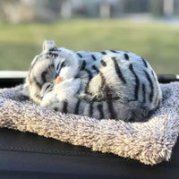gri kedi