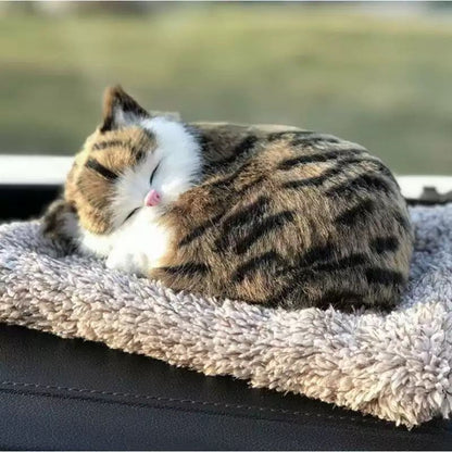Compañero de sueño🥰